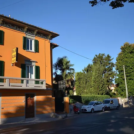 Alma Lucca